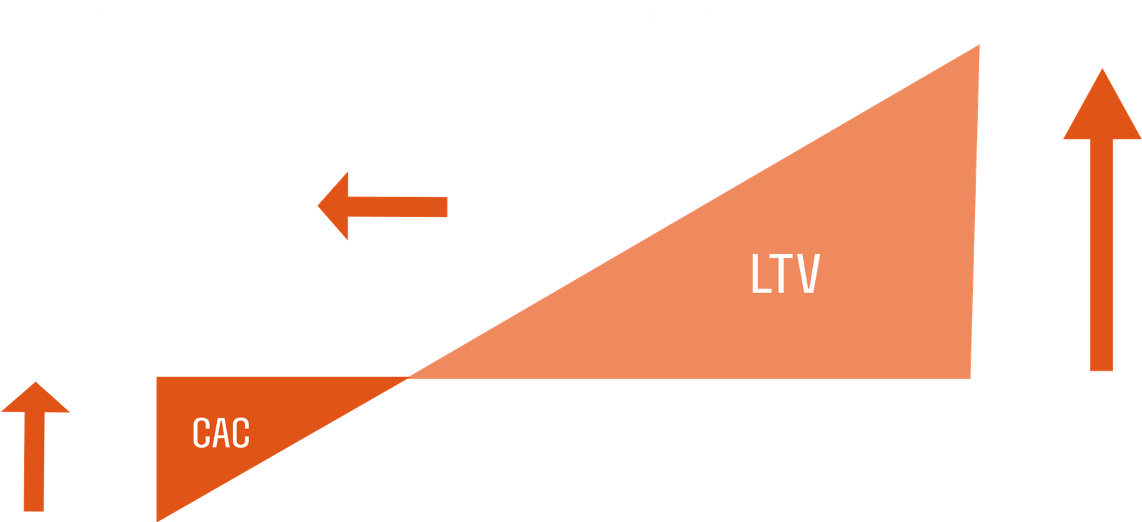 CAC vs LTV CAC vs LTV